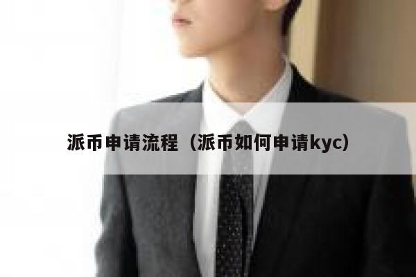 派币申请流程（派币如何申请kyc） 第1张