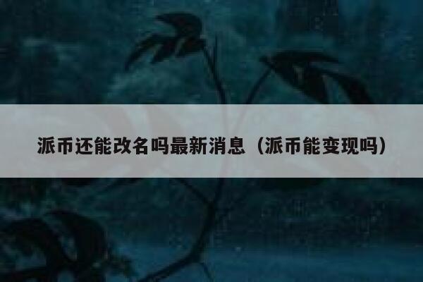 派币还能改名吗最新消息（派币能变现吗） 第1张