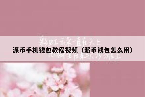 派币手机钱包教程视频（派币钱包怎么用） 第1张