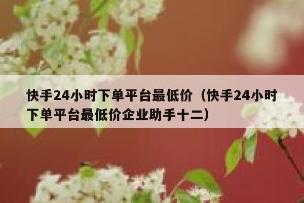 快手24小时下单平台最低价（快手24小时下单平台最低价企业助手十二） 第1张