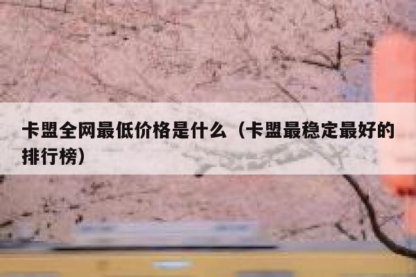 卡盟全网最低价格是什么（卡盟最稳定最好的排行榜） 第1张