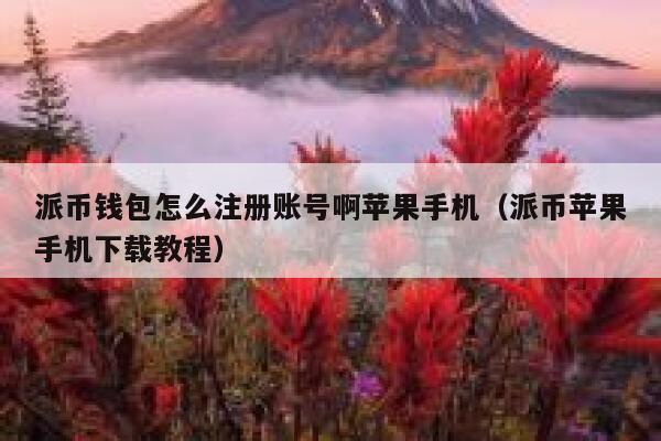 派币钱包怎么注册账号啊苹果手机（派币苹果手机下载教程） 第1张