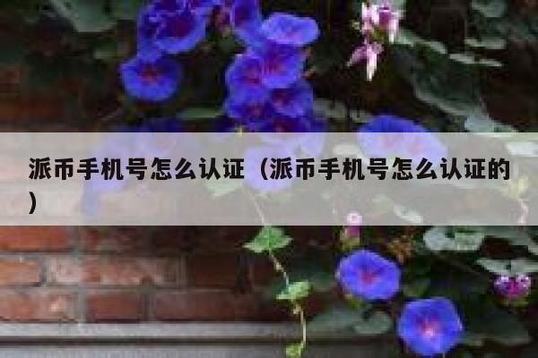 派币手机号怎么认证（派币手机号怎么认证的） 第1张