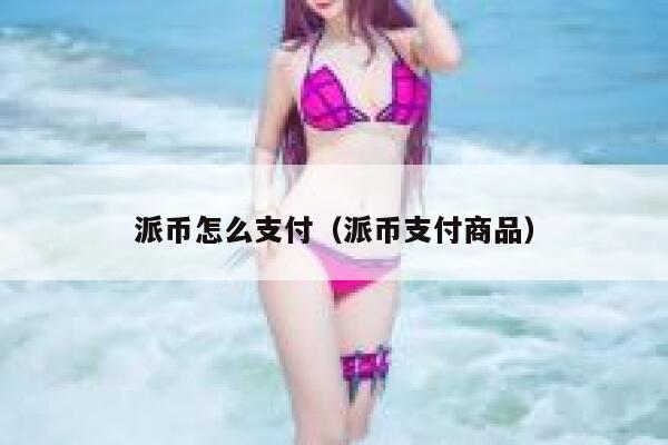 派币怎么支付（派币支付商品） 第1张