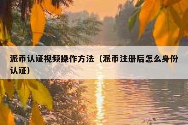 派币认证视频操作方法（派币注册后怎么身份认证） 第1张
