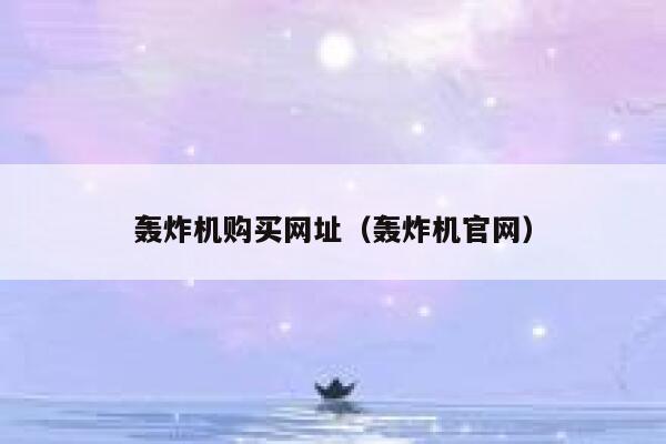 轰炸机购买网址（轰炸机官网） 第1张