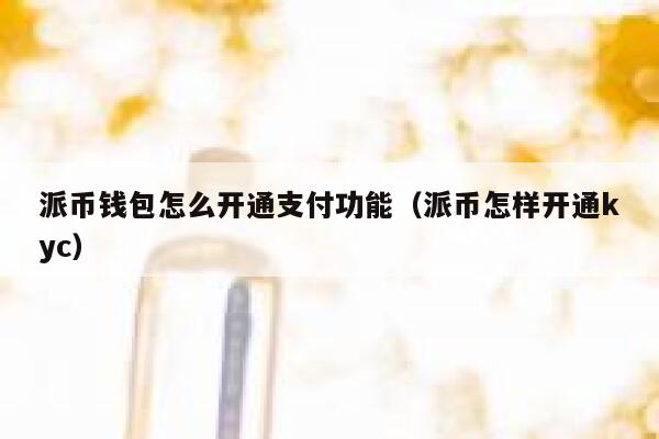 派币钱包怎么开通支付功能（派币怎样开通kyc） 第1张