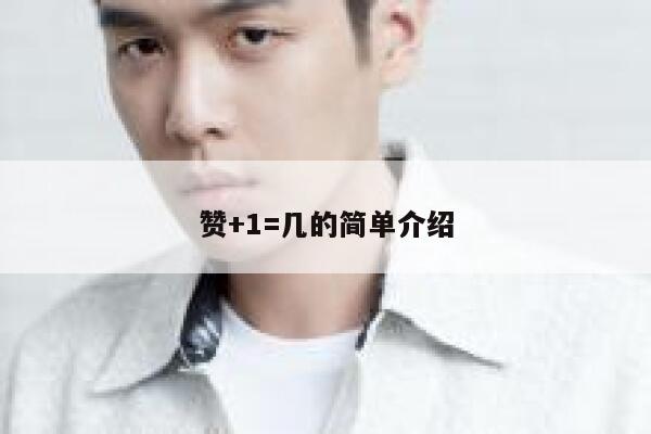 赞+1=几的简单介绍 第1张