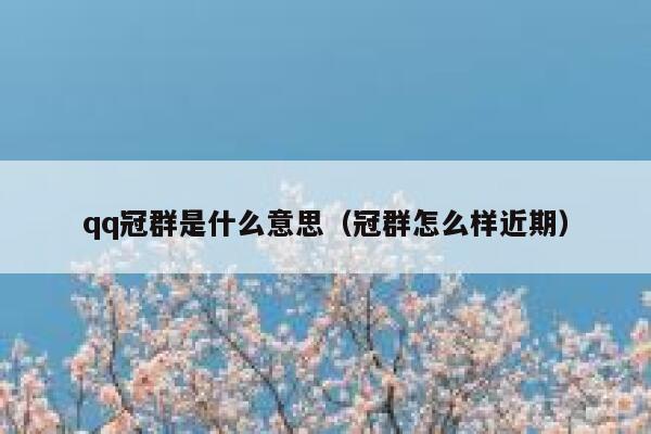 qq冠群是什么意思（冠群怎么样近期） 第1张