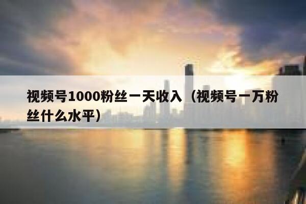 视频号1000粉丝一天收入（视频号一万粉丝什么水平） 第1张