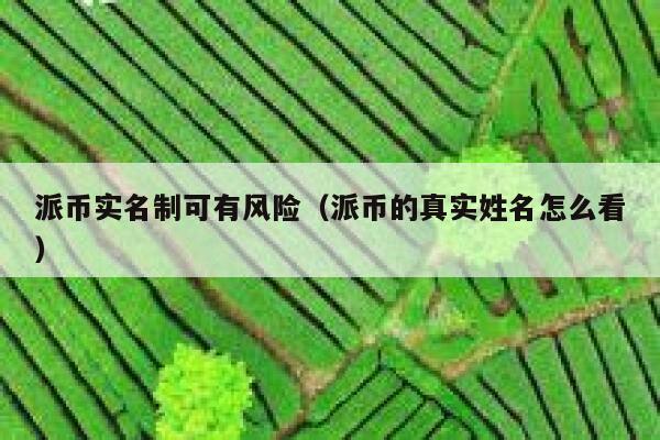 派币实名制可有风险（派币的真实姓名怎么看） 第1张