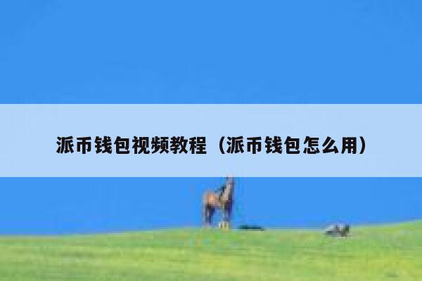 派币钱包视频教程（派币钱包怎么用） 第1张