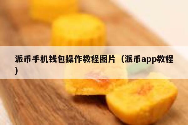 派币手机钱包操作教程图片（派币app教程） 第1张