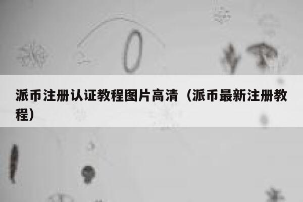 派币注册认证教程图片高清（派币最新注册教程） 第1张