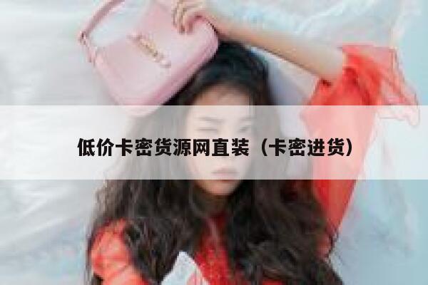 低价卡密货源网直装（卡密进货） 第1张