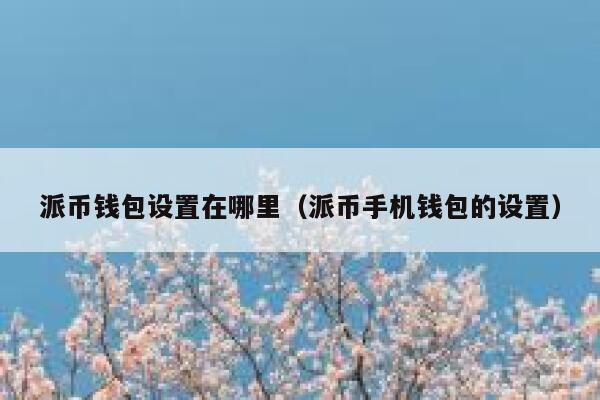 派币钱包设置在哪里（派币手机钱包的设置） 第1张