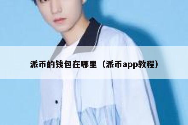 派币的钱包在哪里（派币app教程） 第1张