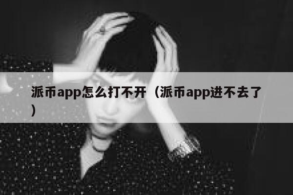 派币app怎么打不开（派币app进不去了） 第1张