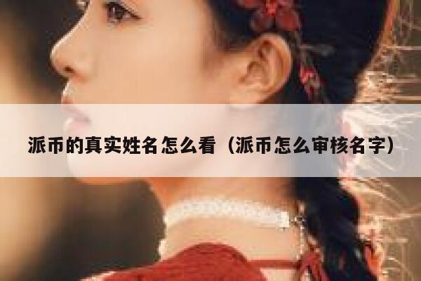 派币的真实姓名怎么看（派币怎么审核名字） 第1张