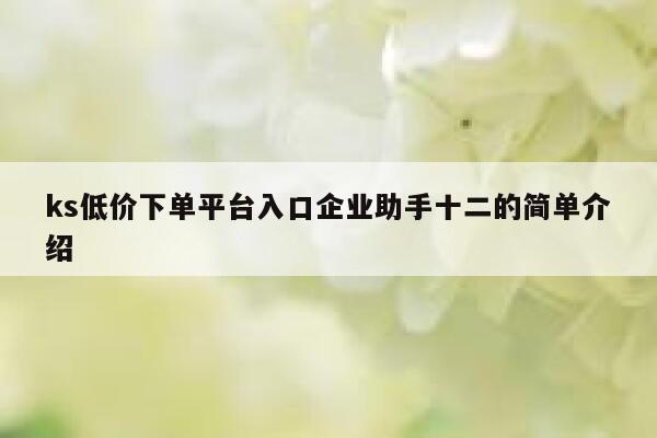 ks低价下单平台入口企业助手十二的简单介绍 第1张