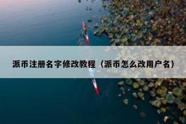 派币注册名字修改教程（派币怎么改用户名） 第1张