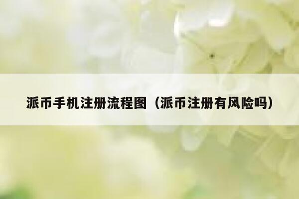 派币手机注册流程图（派币注册有风险吗） 第1张