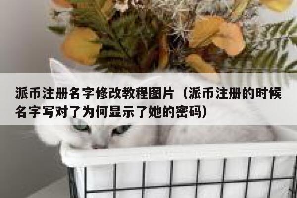 派币注册名字修改教程图片（派币注册的时候名字写对了为何显示了她的密码） 第1张