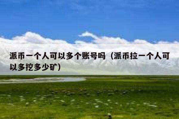 派币一个人可以多个账号吗（派币拉一个人可以多挖多少矿） 第1张