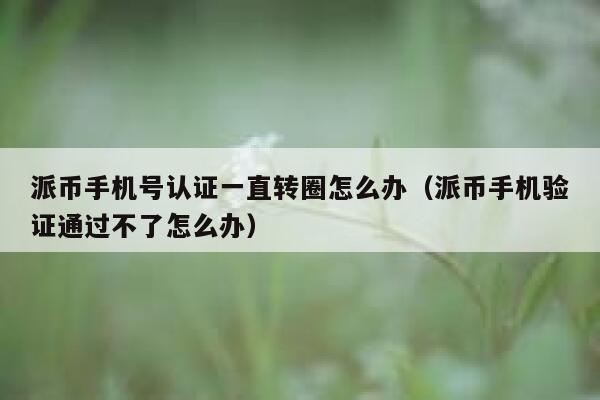 派币手机号认证一直转圈怎么办（派币手机验证通过不了怎么办） 第1张