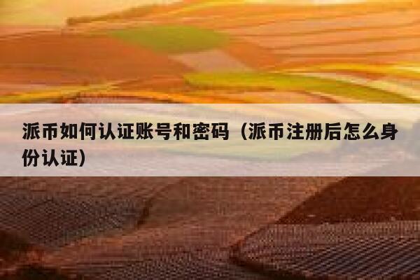 派币如何认证账号和密码（派币注册后怎么身份认证） 第1张