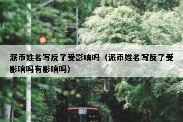 派币姓名写反了受影响吗（派币姓名写反了受影响吗有影响吗） 第1张