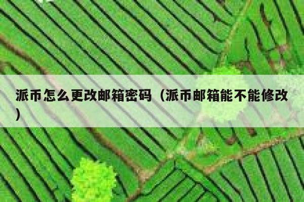 派币怎么更改邮箱密码（派币邮箱能不能修改） 第1张