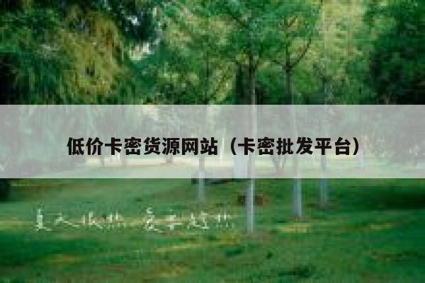 低价卡密货源网站（卡密批发平台） 第1张
