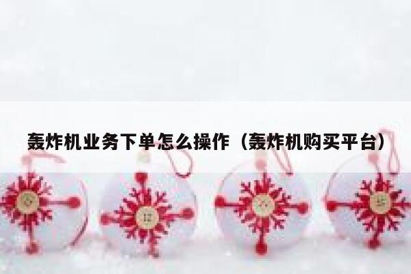 轰炸机业务下单怎么操作（轰炸机购买平台） 第1张