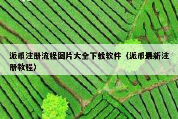 派币注册流程图片大全下载软件（派币最新注册教程） 第1张