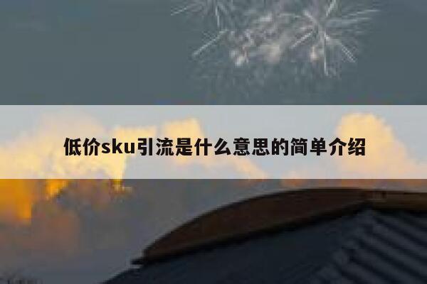 低价sku引流是什么意思的简单介绍 第1张