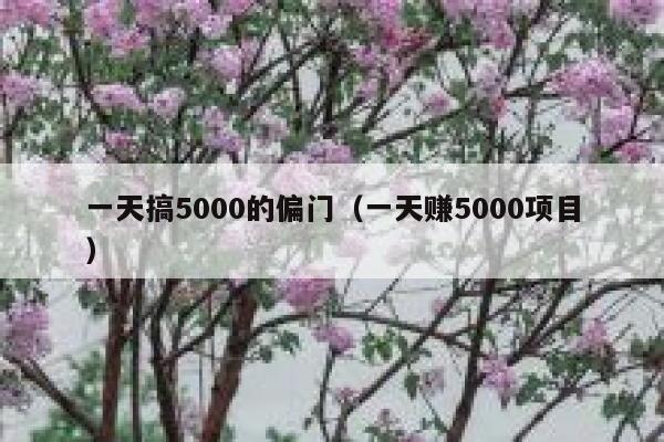 一天搞5000的偏门（一天赚5000项目） 第1张