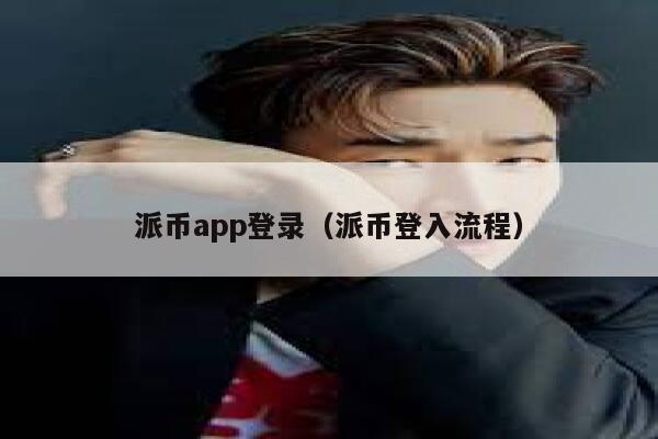 派币app登录（派币登入流程） 第1张