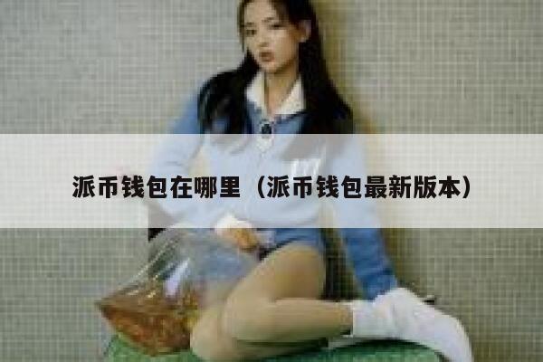 派币钱包在哪里（派币钱包最新版本） 第1张