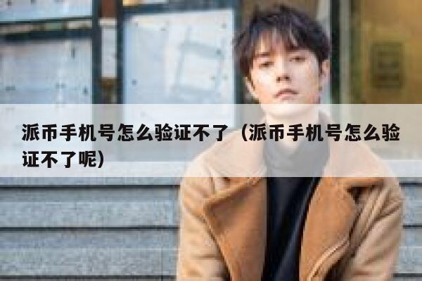 派币手机号怎么验证不了（派币手机号怎么验证不了呢） 第1张