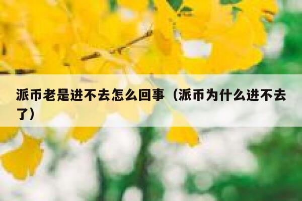 派币老是进不去怎么回事（派币为什么进不去了） 第1张