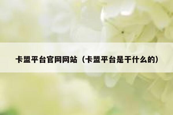 卡盟平台官网网站（卡盟平台是干什么的） 第1张