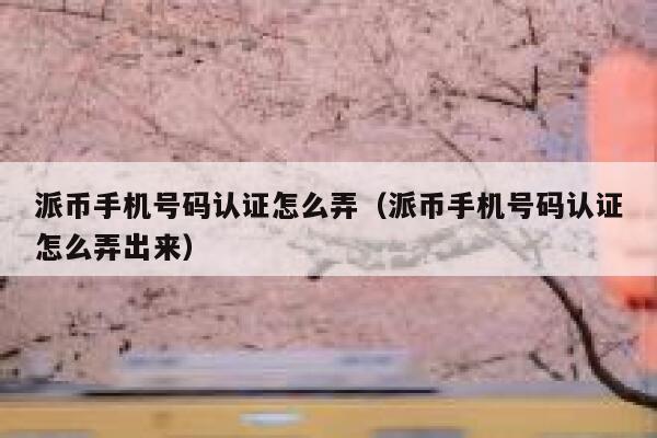 派币手机号码认证怎么弄（派币手机号码认证怎么弄出来） 第1张