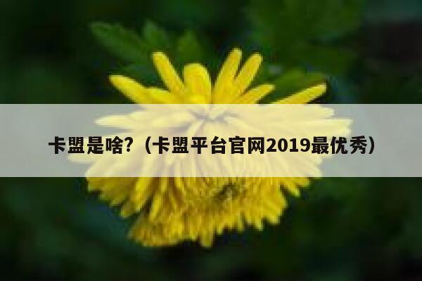 卡盟是啥?（卡盟平台官网2019最优秀） 第1张