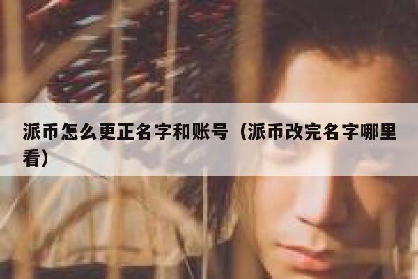 派币怎么更正名字和账号（派币改完名字哪里看） 第1张