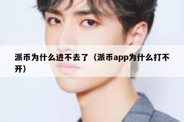 派币为什么进不去了（派币app为什么打不开） 第1张