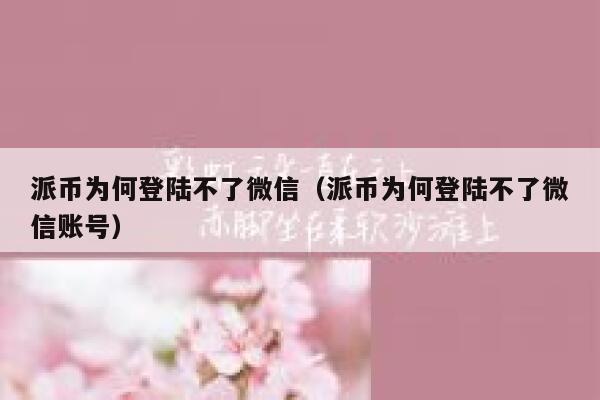 派币为何登陆不了微信（派币为何登陆不了微信账号） 第1张