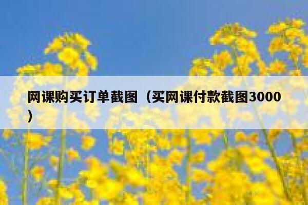 网课购买订单截图（买网课付款截图3000） 第1张