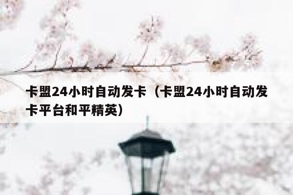 卡盟24小时自动发卡（卡盟24小时自动发卡平台和平精英） 第1张