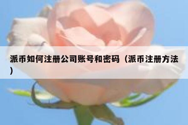 派币如何注册公司账号和密码（派币注册方法） 第1张